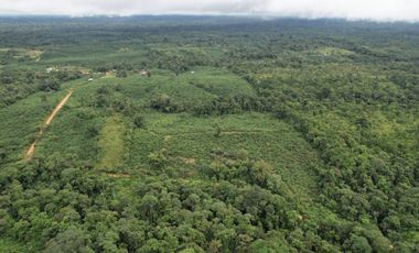 Vendo Hacienda de 220 Hectáreas, plantación de palmito de 140 Hectáreas, sector Pedro Vicente Maldonado