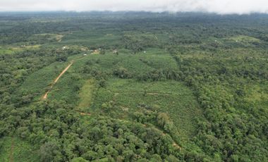 Vendo Hacienda de 220 Hectáreas, plantación de palmito de 140 Hectáreas, sector Pedro Vicente Maldonado