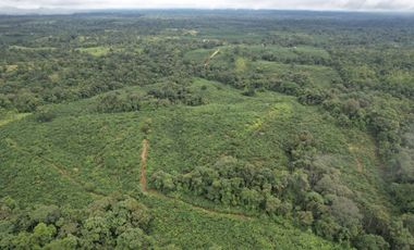 Vendo Hacienda de 220 Hectáreas, plantación de palmito de 140 Hectáreas, sector Pedro Vicente Maldonado