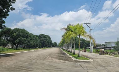 400 SQ.M LIMITED LOT FOR SALE IN PLANTATION HILL BESIDE PULU AMSIC SUBDIVISION ANGELES CITY PAMPANGA