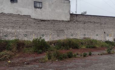 Terreno en renta en centro de Toluca