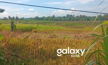 DIJUAL TANAH MELILING SAMSAM KERAMBITAN TABANAN, BALI