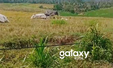 DIJUAL TANAH MELILING SAMSAM KERAMBITAN TABANAN, BALI