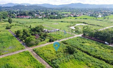 Land 1-0-35 Rai for SALE in Doi Saket
