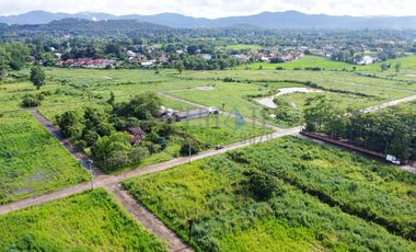 Land 1-0-35 Rai for SALE in Doi Saket