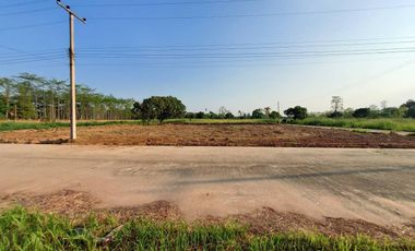 Land 1-0-35 Rai for SALE in Doi Saket