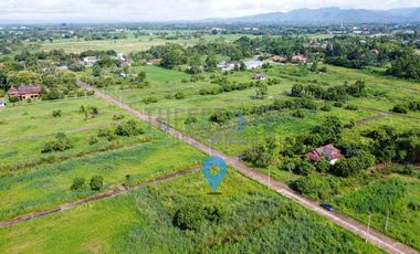 Land 1-0-35 Rai for SALE in Doi Saket