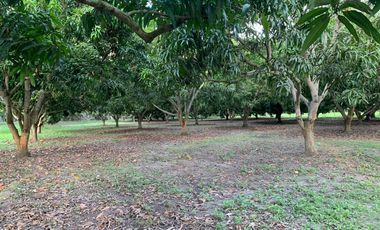 LOTE INDUSTRIAL EN ESPINAL TOLIMA