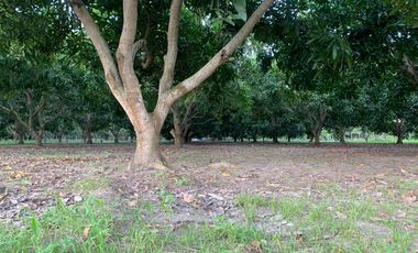 LOTE INDUSTRIAL EN ESPINAL TOLIMA