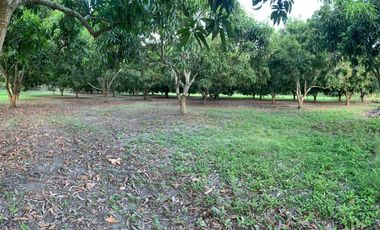 LOTE INDUSTRIAL EN ESPINAL TOLIMA