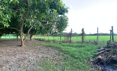 LOTE INDUSTRIAL EN ESPINAL TOLIMA