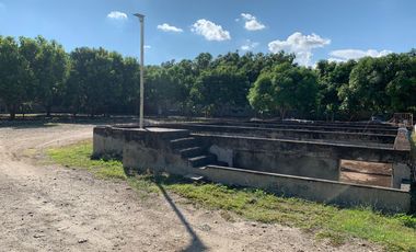 LOTE INDUSTRIAL EN ESPINAL TOLIMA