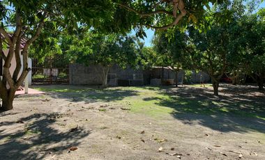 LOTE INDUSTRIAL EN ESPINAL TOLIMA