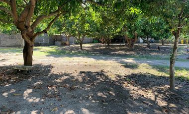 LOTE INDUSTRIAL EN ESPINAL TOLIMA