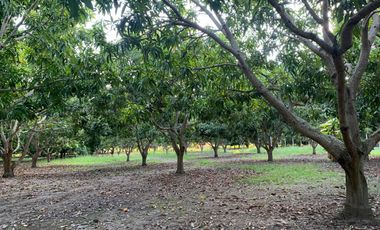 LOTE INDUSTRIAL EN ESPINAL TOLIMA