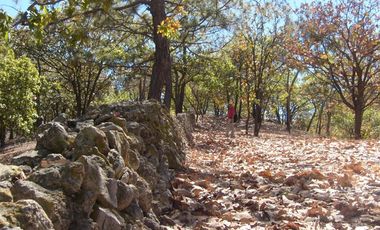 Terreno en venta en Tequila Jalisco