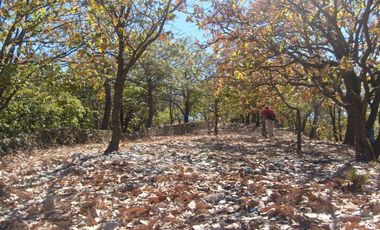 Terreno en venta en Tequila Jalisco