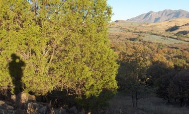 Terreno en venta en Tequila Jalisco