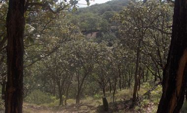 Terreno en venta en Tequila Jalisco