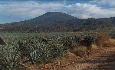 Terreno en venta en Tequila Jalisco
