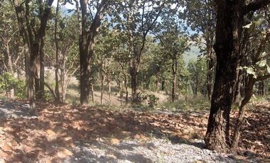 Terreno en venta en Tequila Jalisco