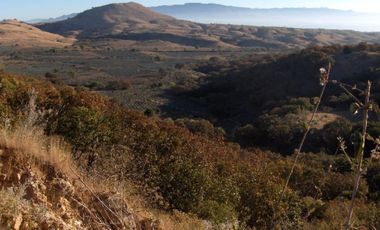 Terreno en venta en Tequila Jalisco