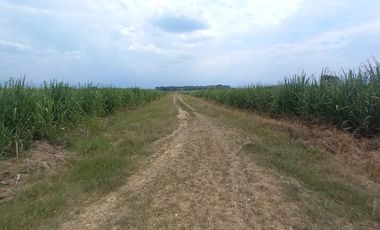FINCA EN VENTA SANTANDER DE QUILICHAO