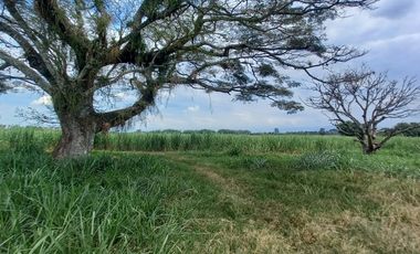 FINCA EN VENTA SANTANDER DE QUILICHAO