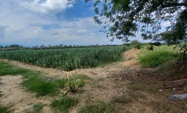 FINCA EN VENTA SANTANDER DE QUILICHAO