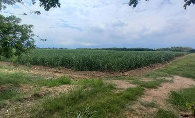 FINCA EN VENTA SANTANDER DE QUILICHAO