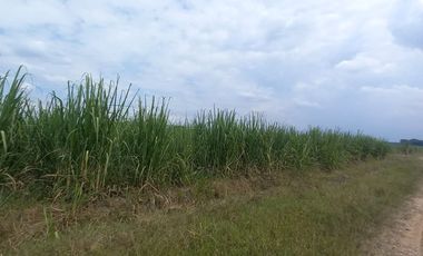 FINCA EN VENTA SANTANDER DE QUILICHAO