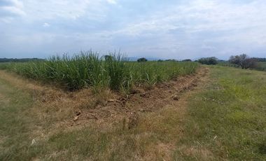 FINCA EN VENTA SANTANDER DE QUILICHAO