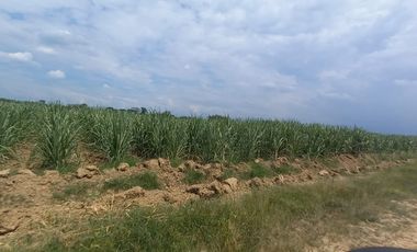 FINCA EN VENTA SANTANDER DE QUILICHAO