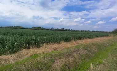 FINCA EN VENTA SANTANDER DE QUILICHAO
