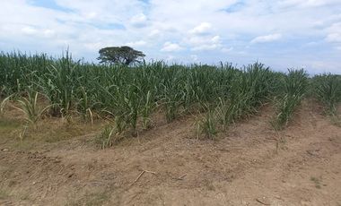 FINCA EN VENTA SANTANDER DE QUILICHAO