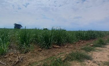 FINCA EN VENTA SANTANDER DE QUILICHAO