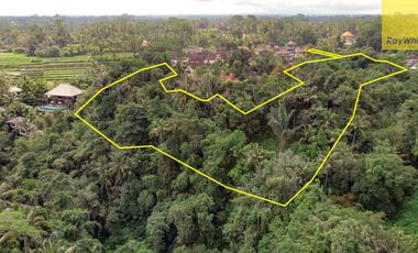 12,619 sq m of Freehold Land with Stunning River and Valley Views Located 7 Minutes from Ubud Palace