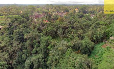 12,619 sq m of Freehold Land with Stunning River and Valley Views Located 7 Minutes from Ubud Palace