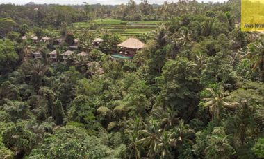 12,619 sq m of Freehold Land with Stunning River and Valley Views Located 7 Minutes from Ubud Palace