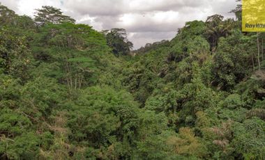 12,619 sq m of Freehold Land with Stunning River and Valley Views Located 7 Minutes from Ubud Palace