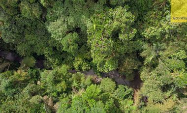 12,619 sq m of Freehold Land with Stunning River and Valley Views Located 7 Minutes from Ubud Palace
