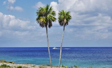 Terreno a 5 minutos de la playa, en venta, precio reducido, 10 de abril, isla de Cozumel
