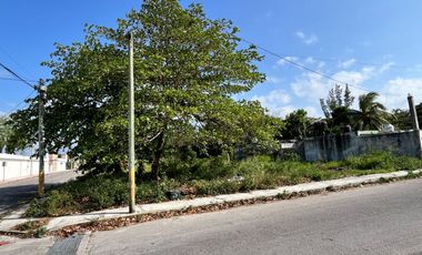 Terreno a 5 minutos de la playa, en venta, precio reducido, 10 de abril, isla de Cozumel