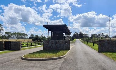 Venta parcela en El Alba, sector Club de Golf