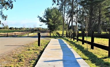 Venta parcela en El Alba, sector Club de Golf