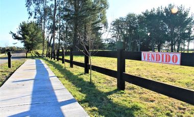 Venta parcela en El Alba, sector Club de Golf