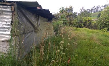 VENDO  CASA LOTE CAMPESTRE VDA EL CHUZCAL- ZIPACON