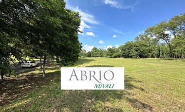 Abrio NUVALI for Sale, Phase 2 (1,073 sqm)