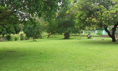 VENTA DE TERRENO EN CABUYA