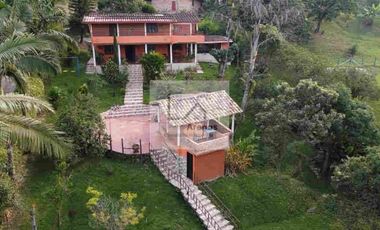Venta Finca Vereda Guali - Amaga Suroeste Antioqueño